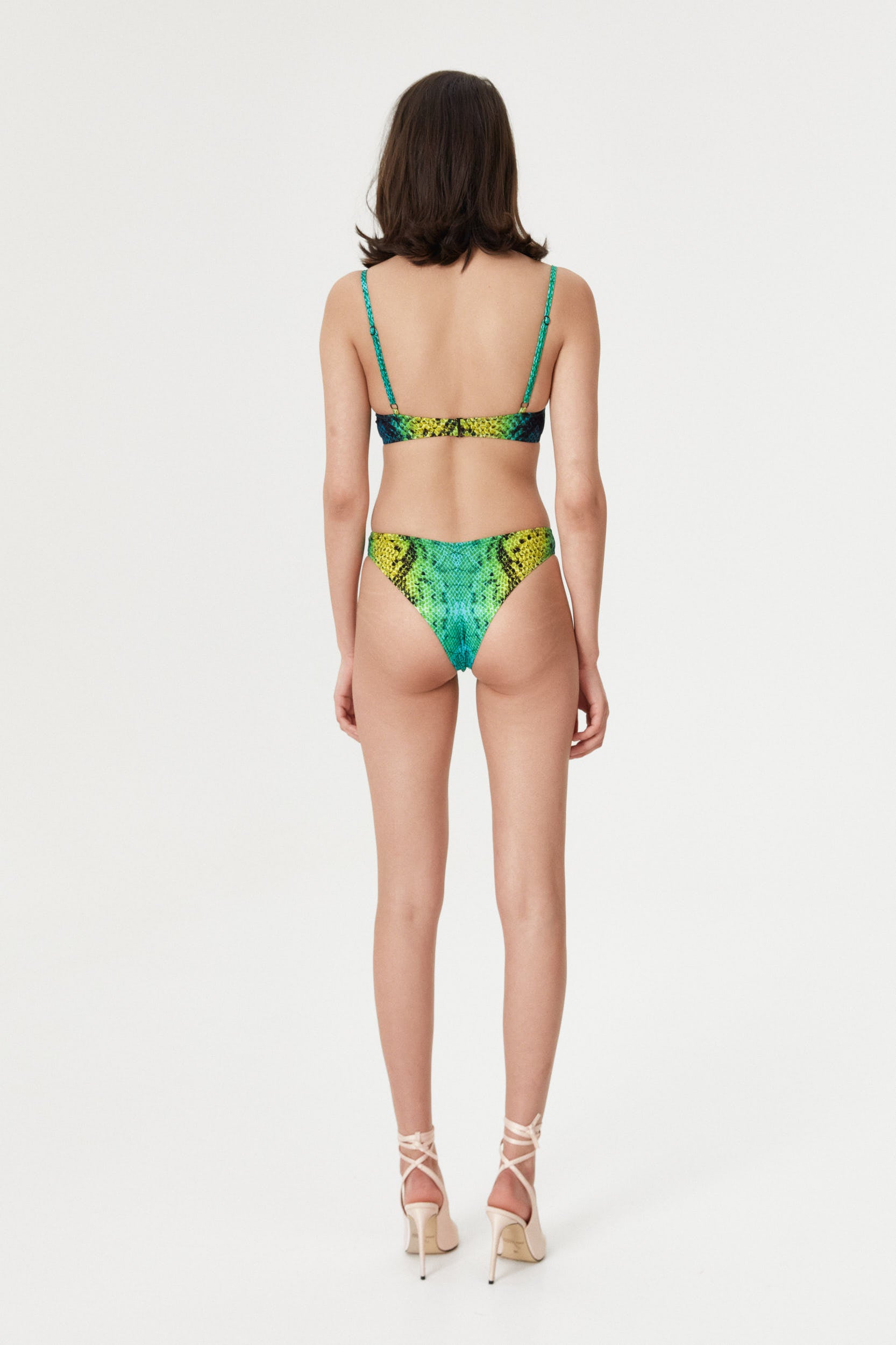 Green Snake V-Cut Bottom