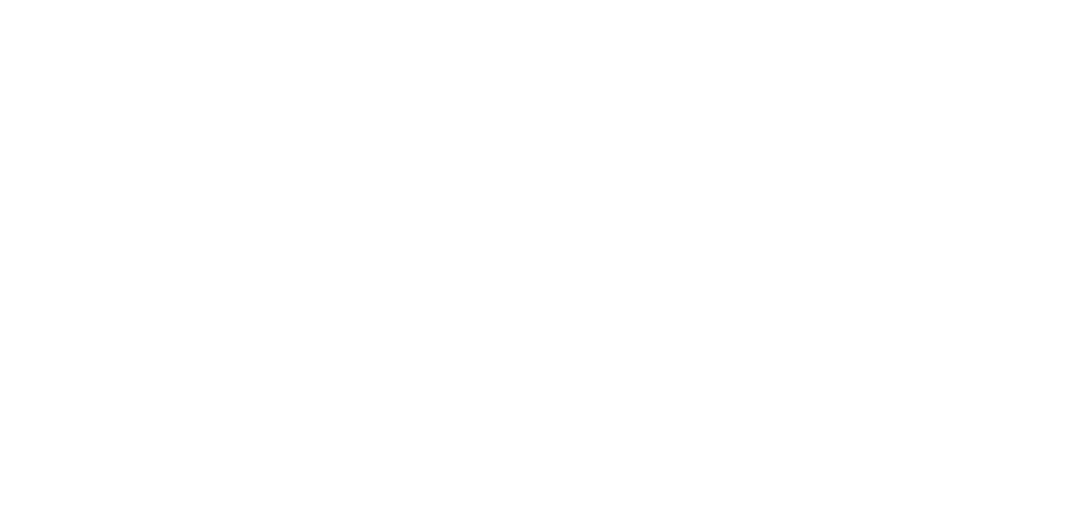 Noire Swimwear Logo